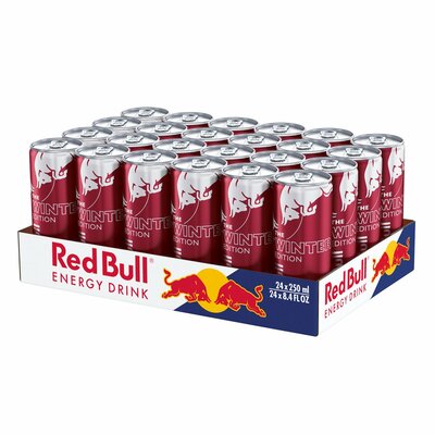 Red Bull Winter Editon 24 x 0,25 l - manfreddo